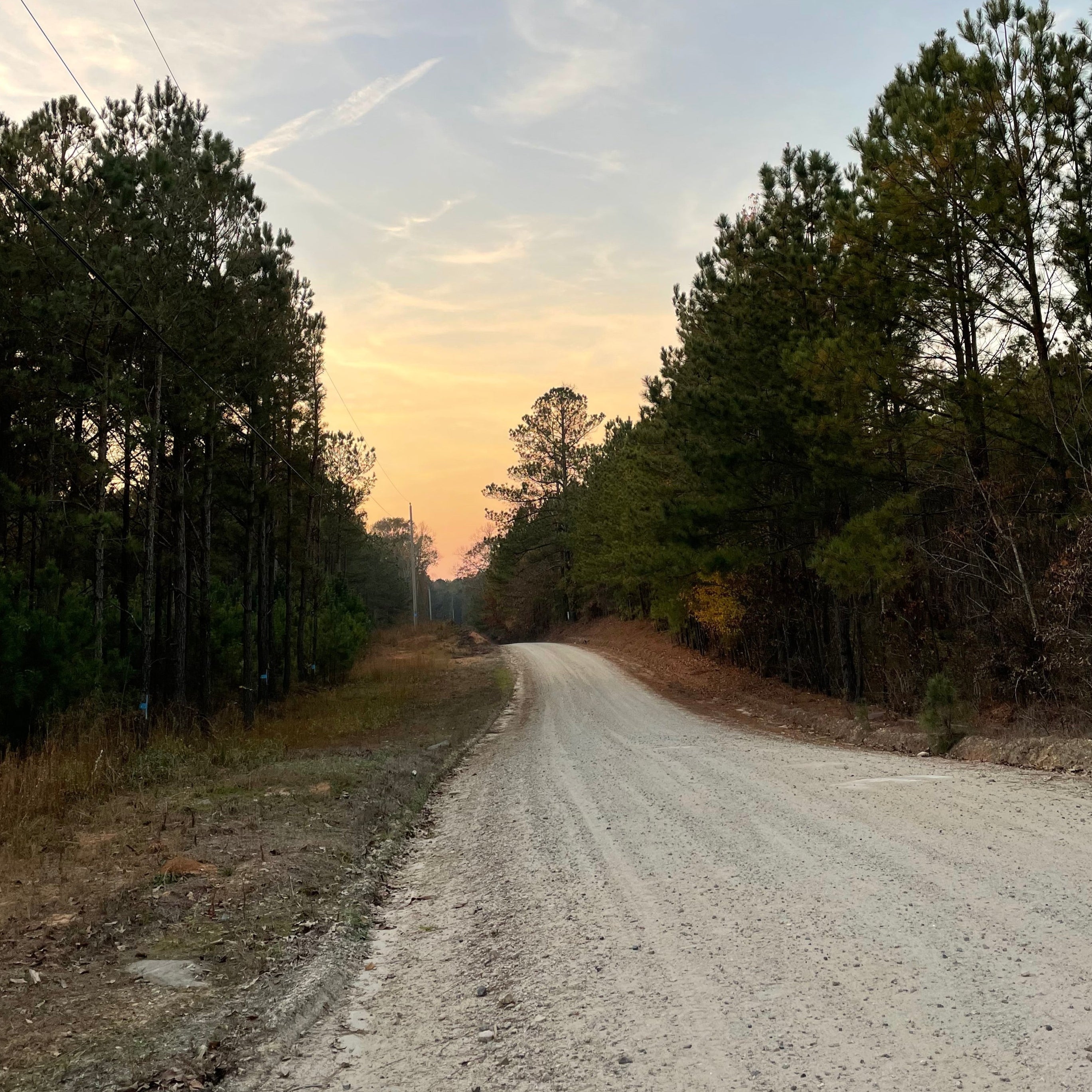 Where Old Roads Lead Home